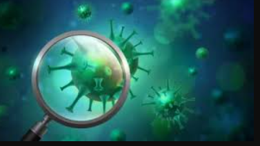 "Norovirus Surge in the U.S. - Latest Outbreaks, Symptoms, and Prevention Tips (2025)"