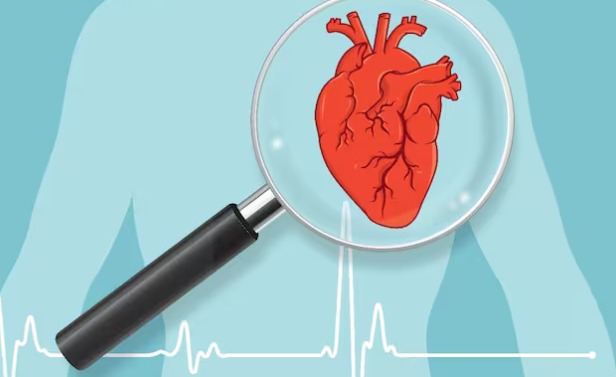  Lawyer Collapses Mid-Argument, Dies of Heart Attack in Telangana High Court