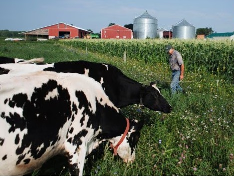 How the US supports its farmers & why this matters in Washington-Delhi trade negotiations