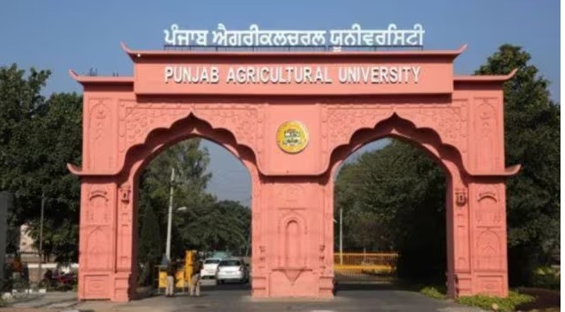 Suspended Punjab Agri University staffer reinstated; his wife dies of heart attack
