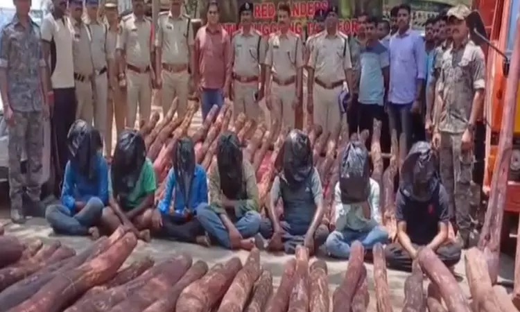 2.5 crore worth of sheep seized near Tirupati - 7 people arrested