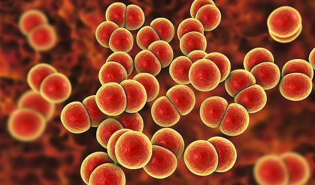 Alert over flu-like disease that kills in ONE DAY landing on UK shores...get jabbed, experts urge