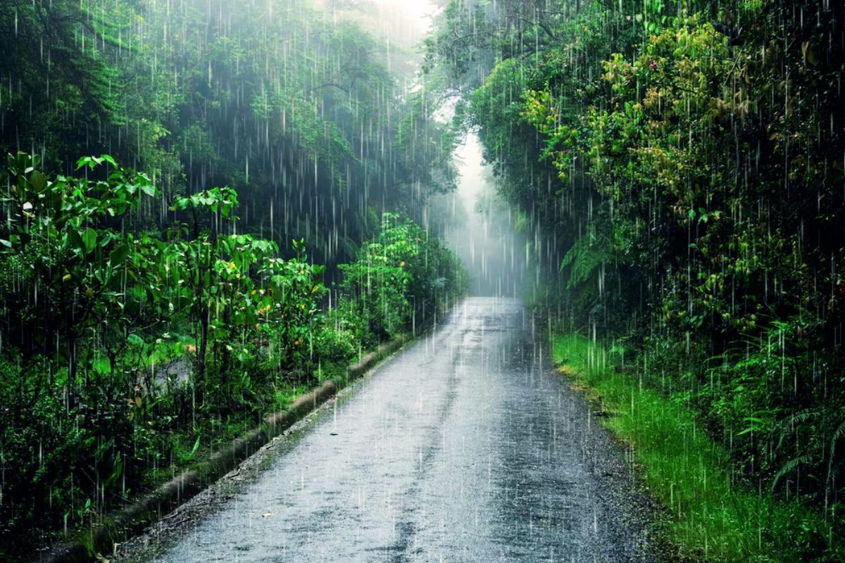 Weather Update: Heavy Rain Alert in Ranchi and Nearby Districts – Check Tomorrow’s Forecast