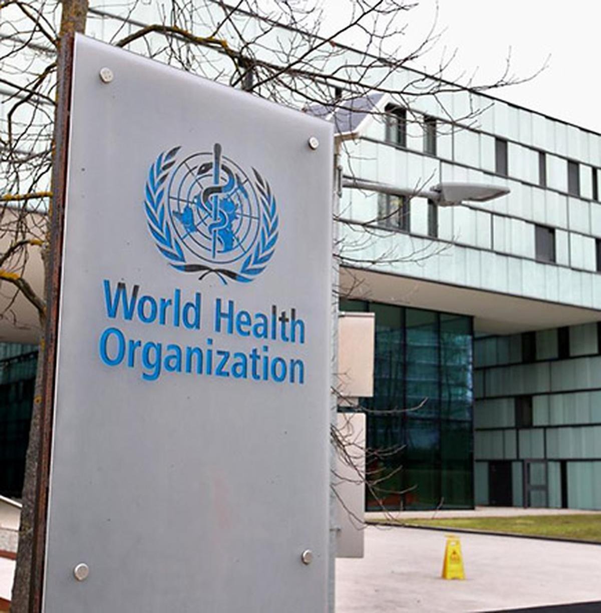 WHO defends vaccine safety test standards