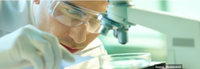 "Wockhardt Limited stock chart showing 26 percent surge on NSE"