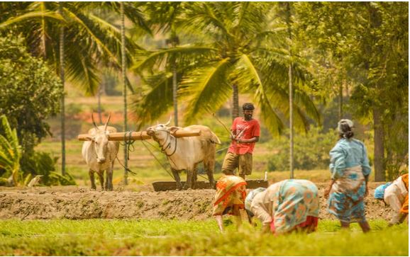 "PM-KISAN 20th Installment update 2025 – Farmers checking beneficiary status and payment details online"
