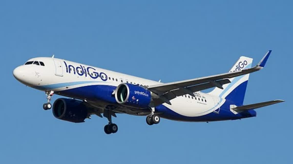 Trainee pilot confronts casteist remark "go stitch shoes" at IndiGo office