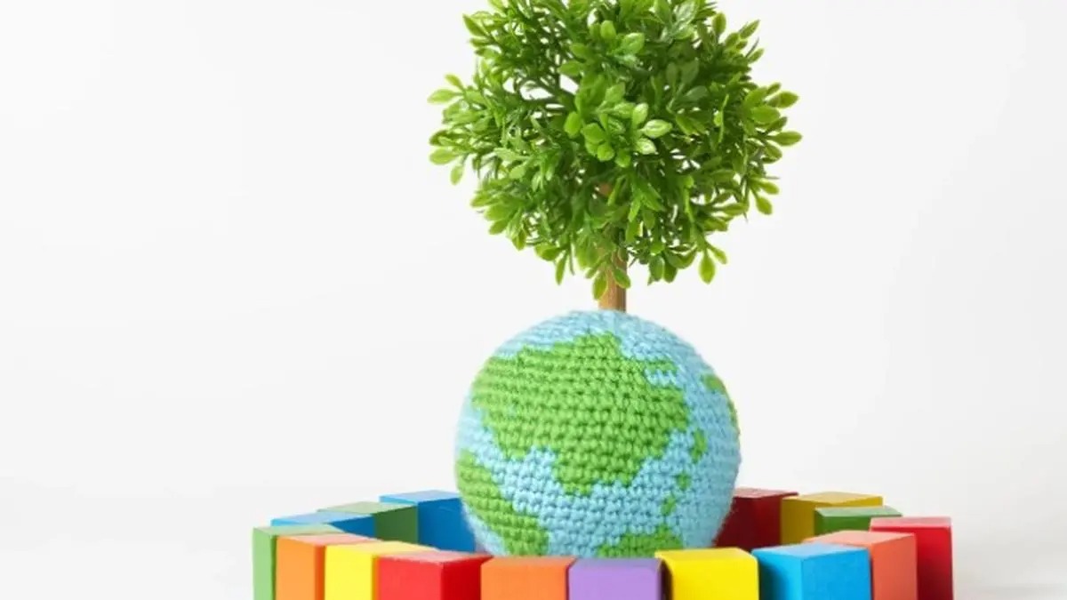 India SDG Index map showing top-performing states and goals in 2024 rankings