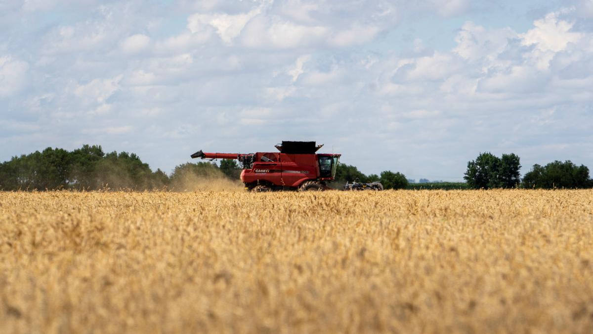 Dry soil surface under intense sun symbolizing rising evaporative demand in India