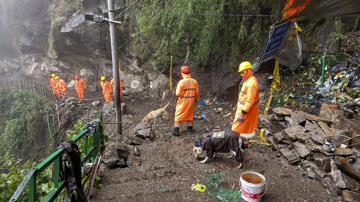 NDRF personnel conducting search operations in mountainous terrain in Uttarakhand