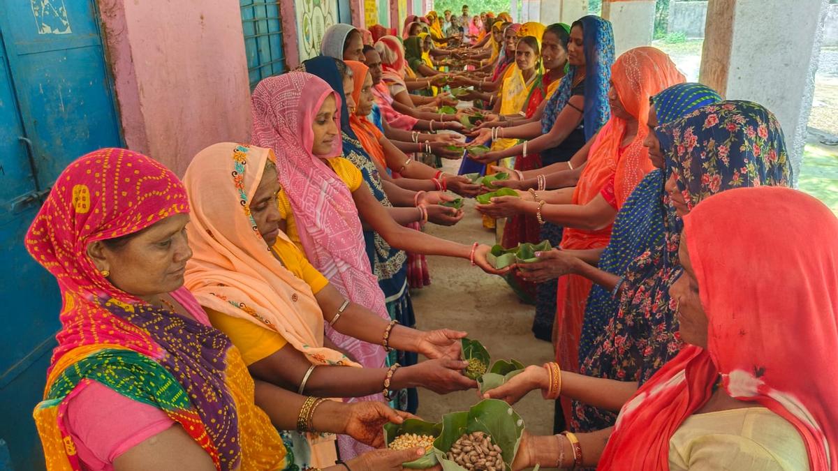 Farmers displaying indigenous seeds during Beej Utsav seed festival