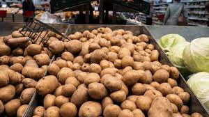 Union Cabinet clears international potato research center in Agra, India