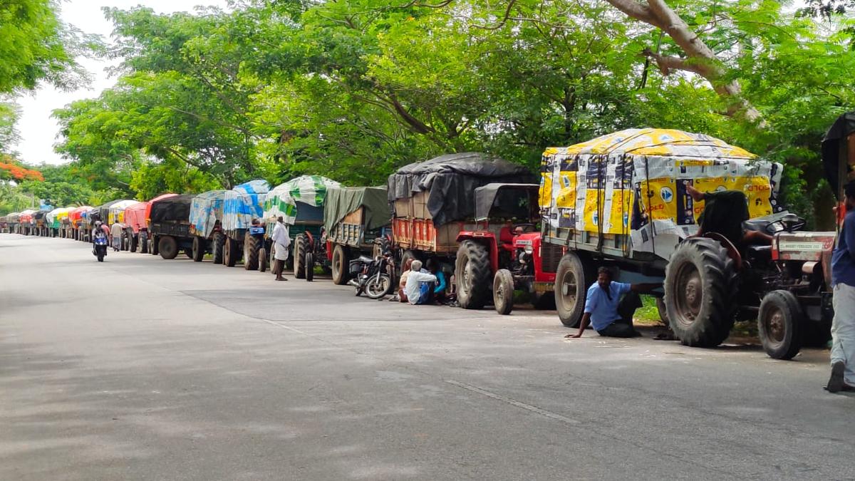 “Mango farmers in Chittoor inspecting their orchards amidst challenging weather conditions”
