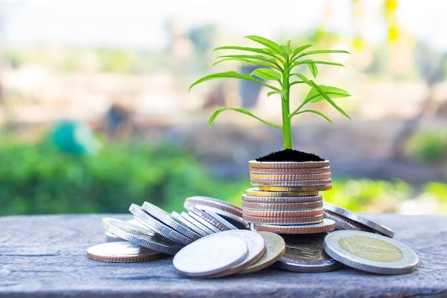 Financial planning and money growth with Vizzve Finance tools