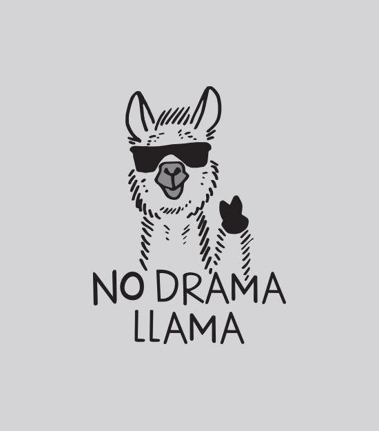 Drama Lama learns about inflation and uses Vizzve Finance to beat it