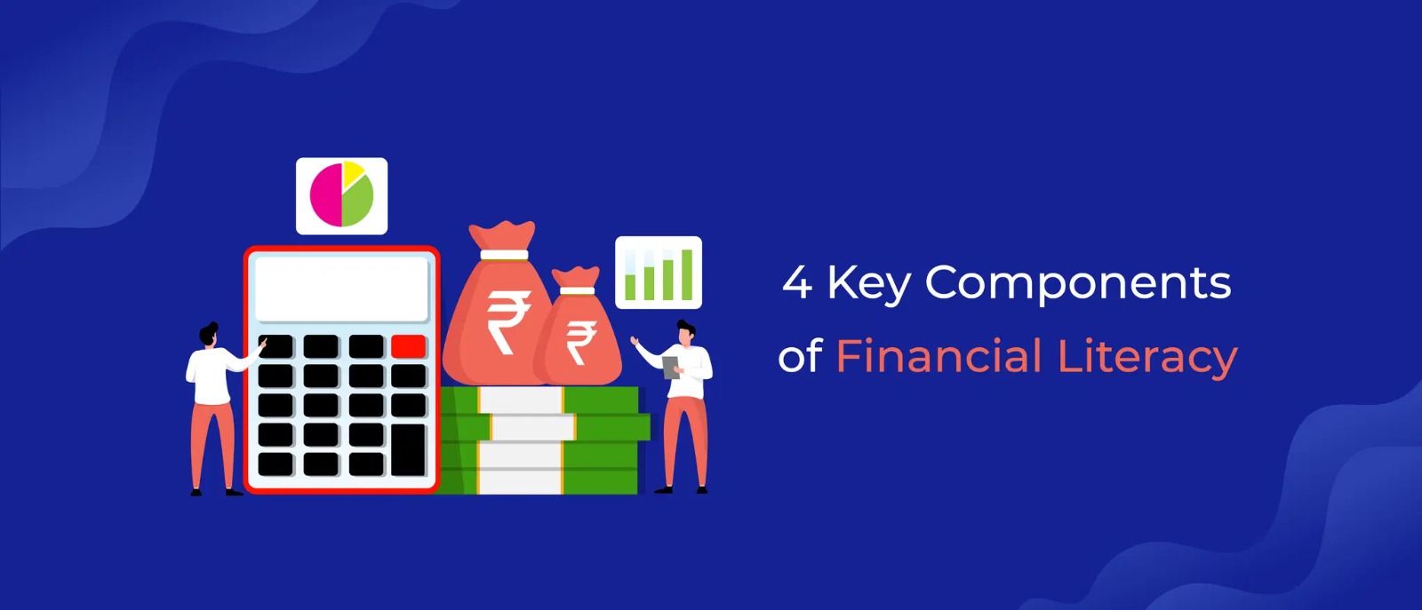 Four pillars of financial literacy built with Vizzve Finance tools