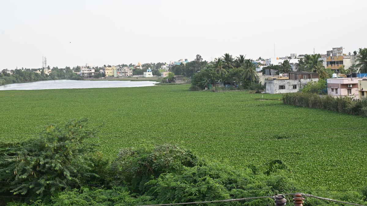 Image of broken road and stagnant water in Thirumullaivoyal, Chennai suburb