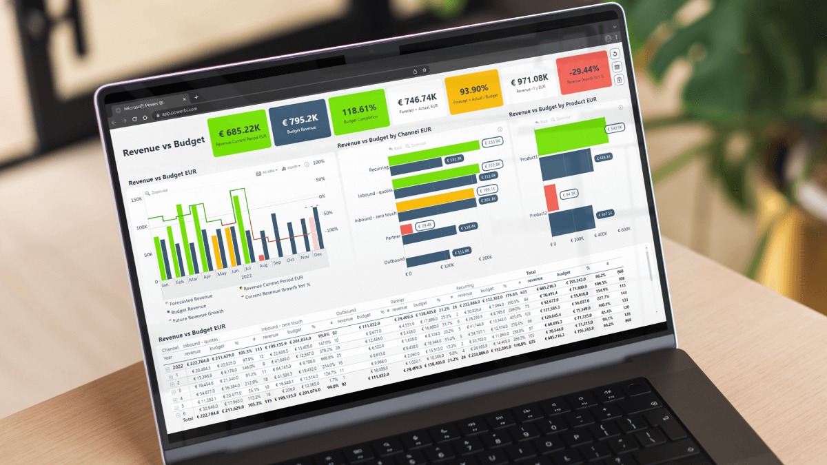 Person doing a mid-year financial review with Vizzve Finance dashboard on laptop