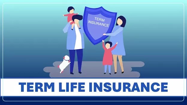 An infographic comparing life, term, and health insurance with icons representing each, and Vizzve guiding decisions.