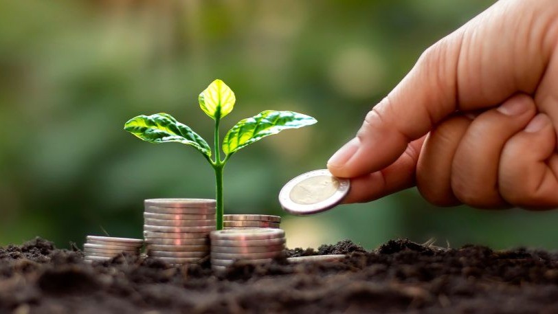 Financial resilience concept with shield and piggy bank illustration