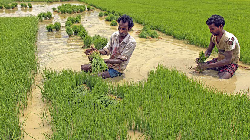 Monsoon impact on agriculture loan demand in India – Vizzve Finance