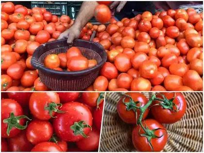 Rising tomato prices in India impacting loan EMIs and interest rates – Vizzve Finance