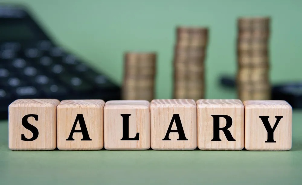 Young Indian professional learning how to build credit score after starting a salary