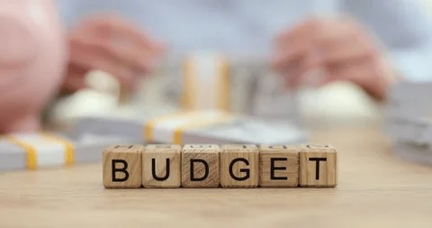 A stylishly decorated small Indian apartment with minimal furniture, warm lighting, plants, and budget-friendly décor with Vizzve branding