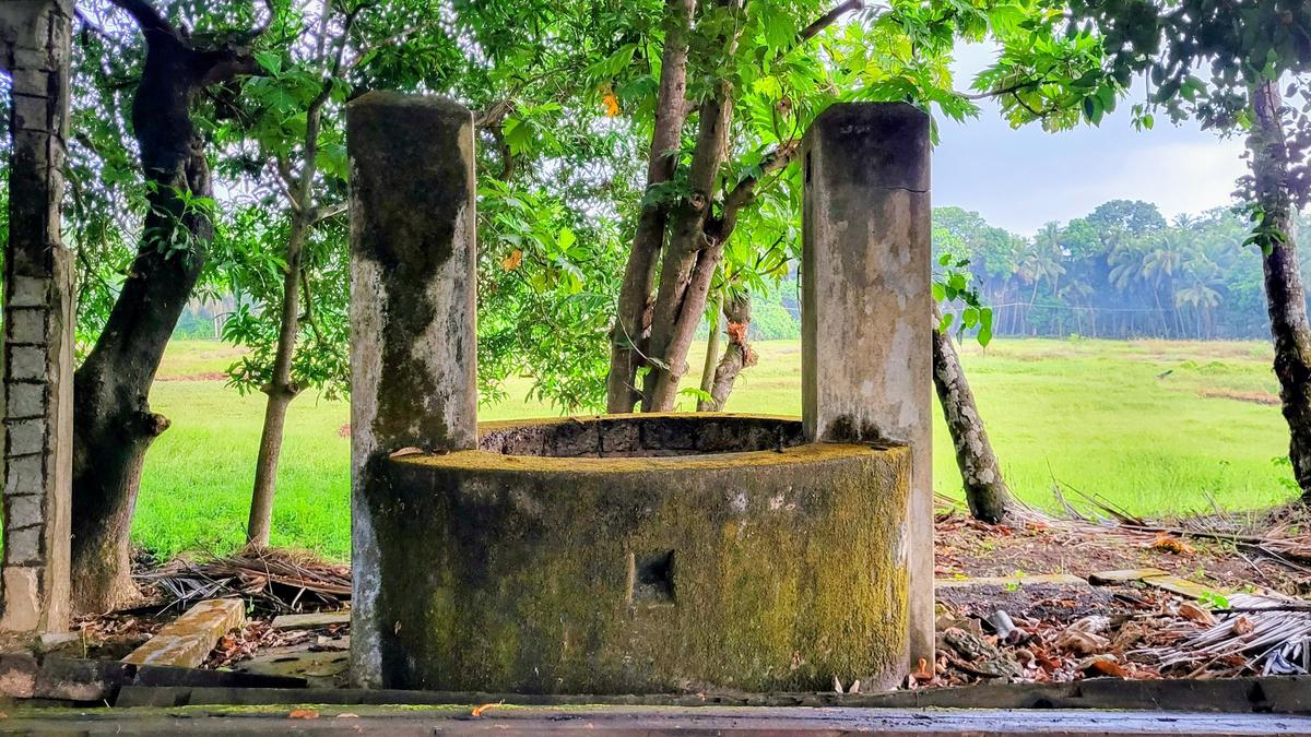 Graphical representation of rising groundwater levels in Karnataka wells in 2025