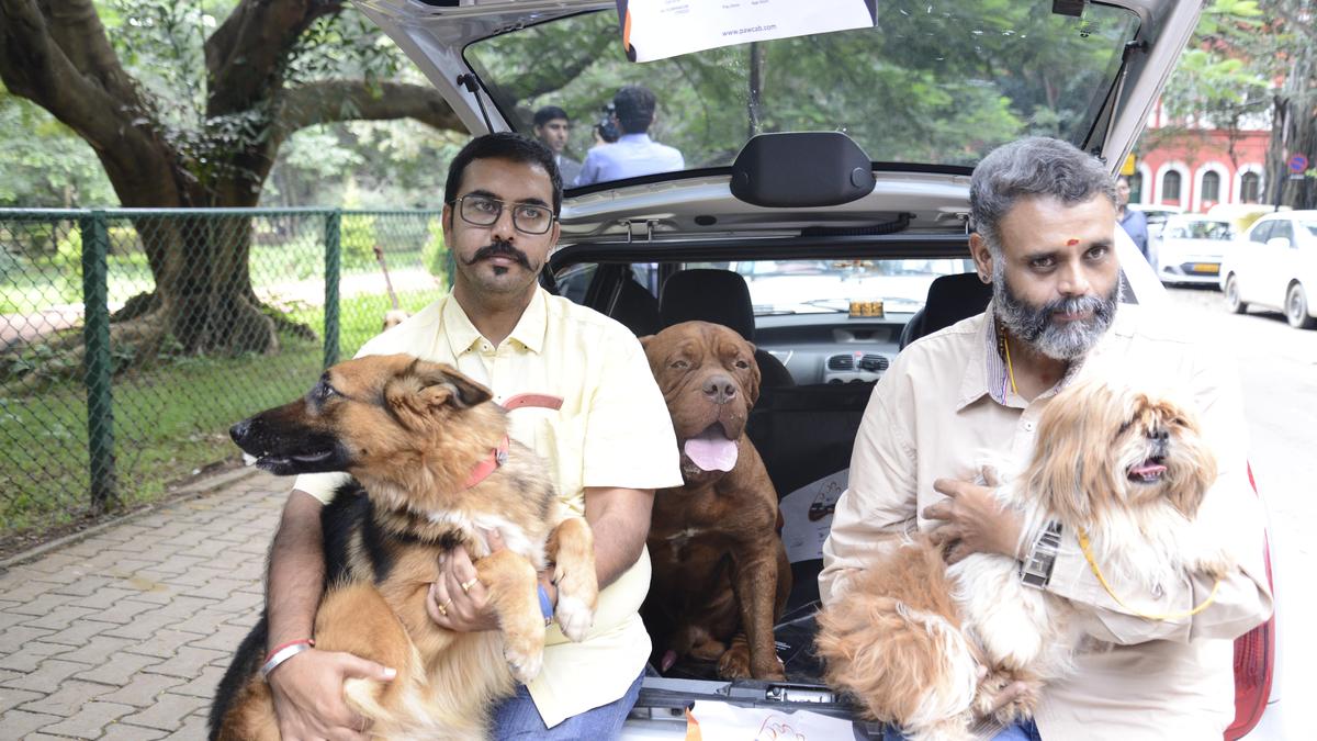Pet-friendly cab driver in Bengaluru helping a dog and its owner board a taxi, highlighting the city’s popular pet travel services