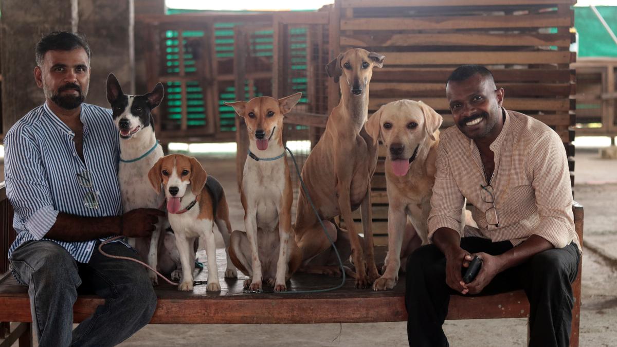 Jijesh S and Shaji Balaramapuram training animals and birds for film and photography in Thiruvananthapuram