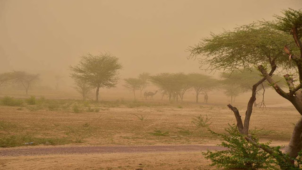 Dusty clouds and scattered rain over fields in Rajasthan and Haryana