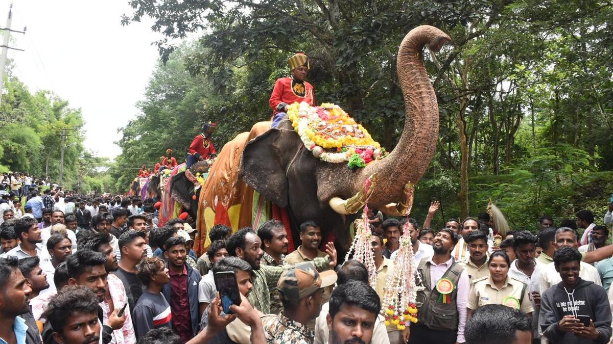 Decorated elephants and procession participants at the flagging off of Mysuru Dasara 2025 Gajapayana near Nagarahole forest