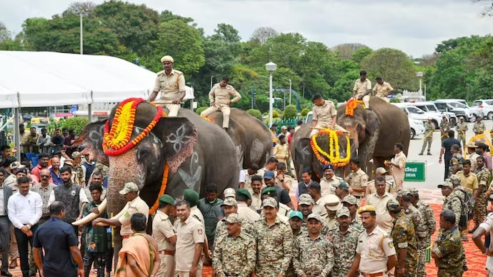Kumki elephants deployed by Andhra Pradesh for controlling wild elephant conflict