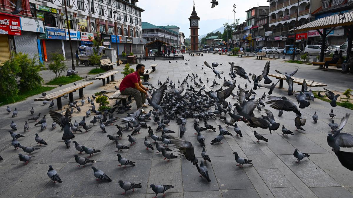 Supreme Court of India building in New Delhi with flags outside, symbolizing upcoming hearing on Jammu and Kashmir statehood plea