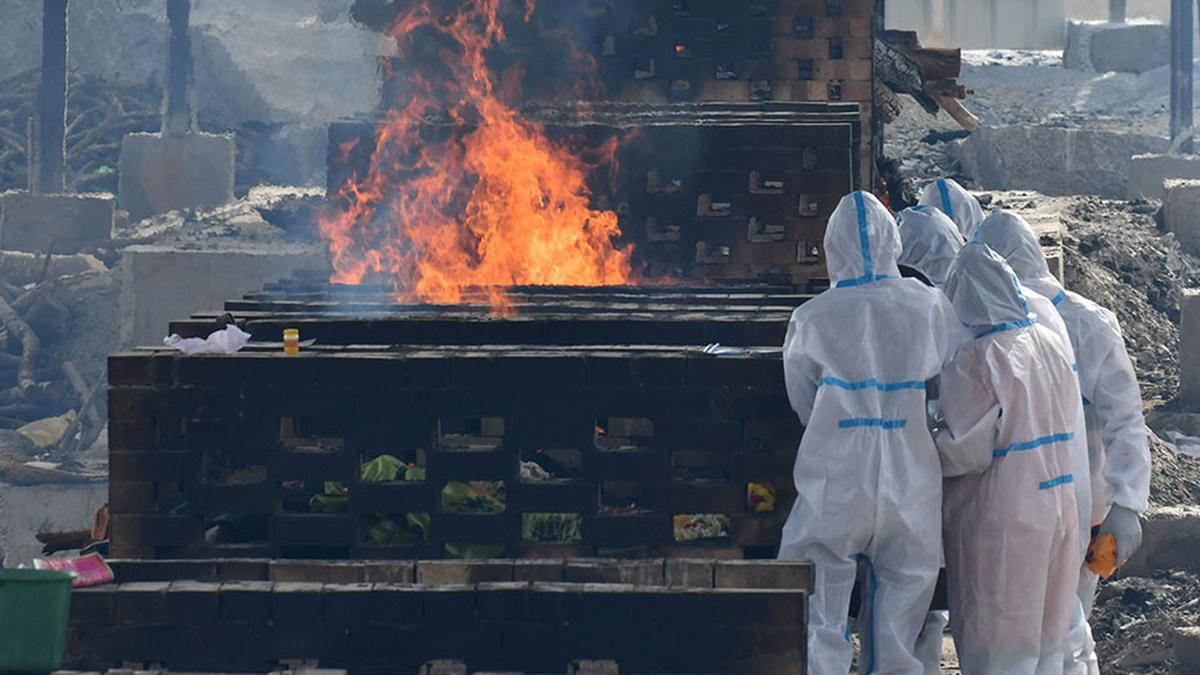 Healthcare worker in protective gear examining COVID-19 data charts representing pandemic impact in India