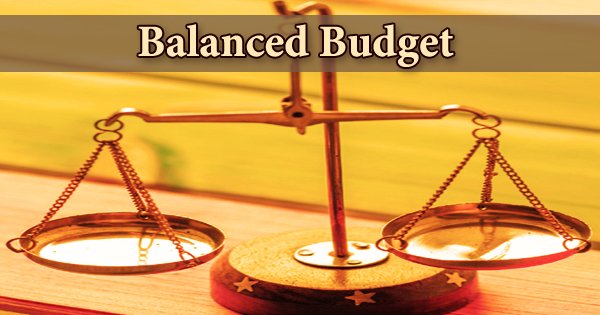 Person managing finances with multiple income streams on a laptop, Vizzve Finance branding