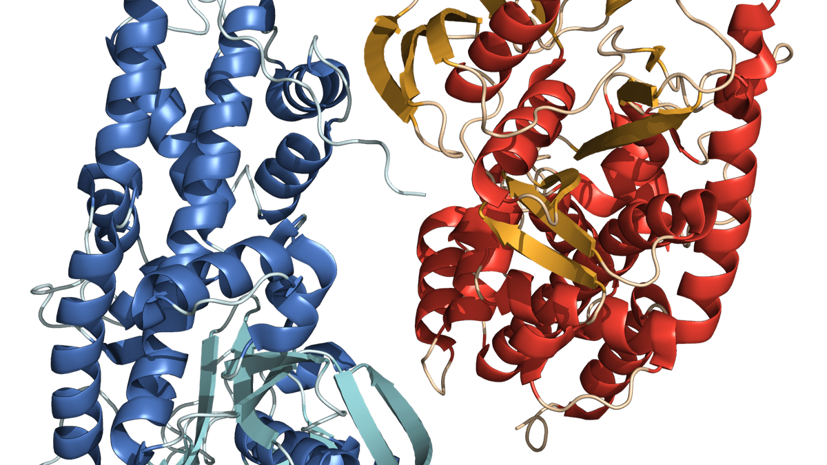 Illustration showing 3D protein structures along with tools like X-ray crystallography and NMR spectroscopy used to determine protein shapes