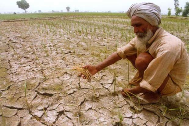 Farmer working in dry field during heatwave in India