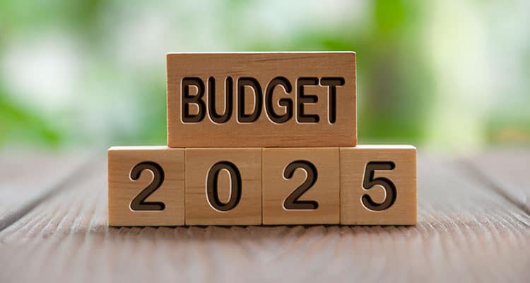 Union Budget 2025 highlights on loans, taxes, and investments in India