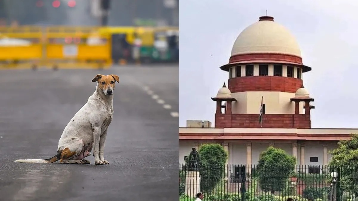 Supreme Court of India building, symbolizing landmark judgments and public debates on stray dogs.