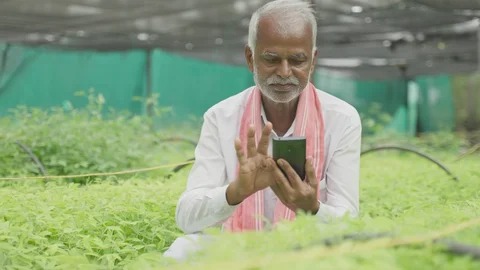 Rural farmer receiving microloan digitally via mobile app in village setting.