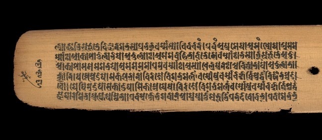 Ancient Sanskrit manuscripts on palm leaves