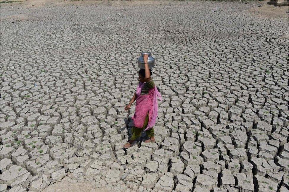 Indian farmer in drought-hit field due to climate change