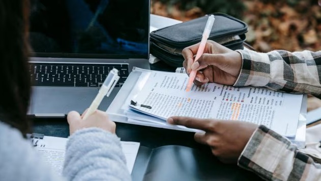 "SBI Clerk 2025 Admit Card Download Page"