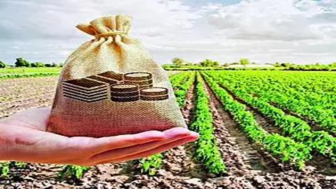 Farmer receiving customized loan for sowing season