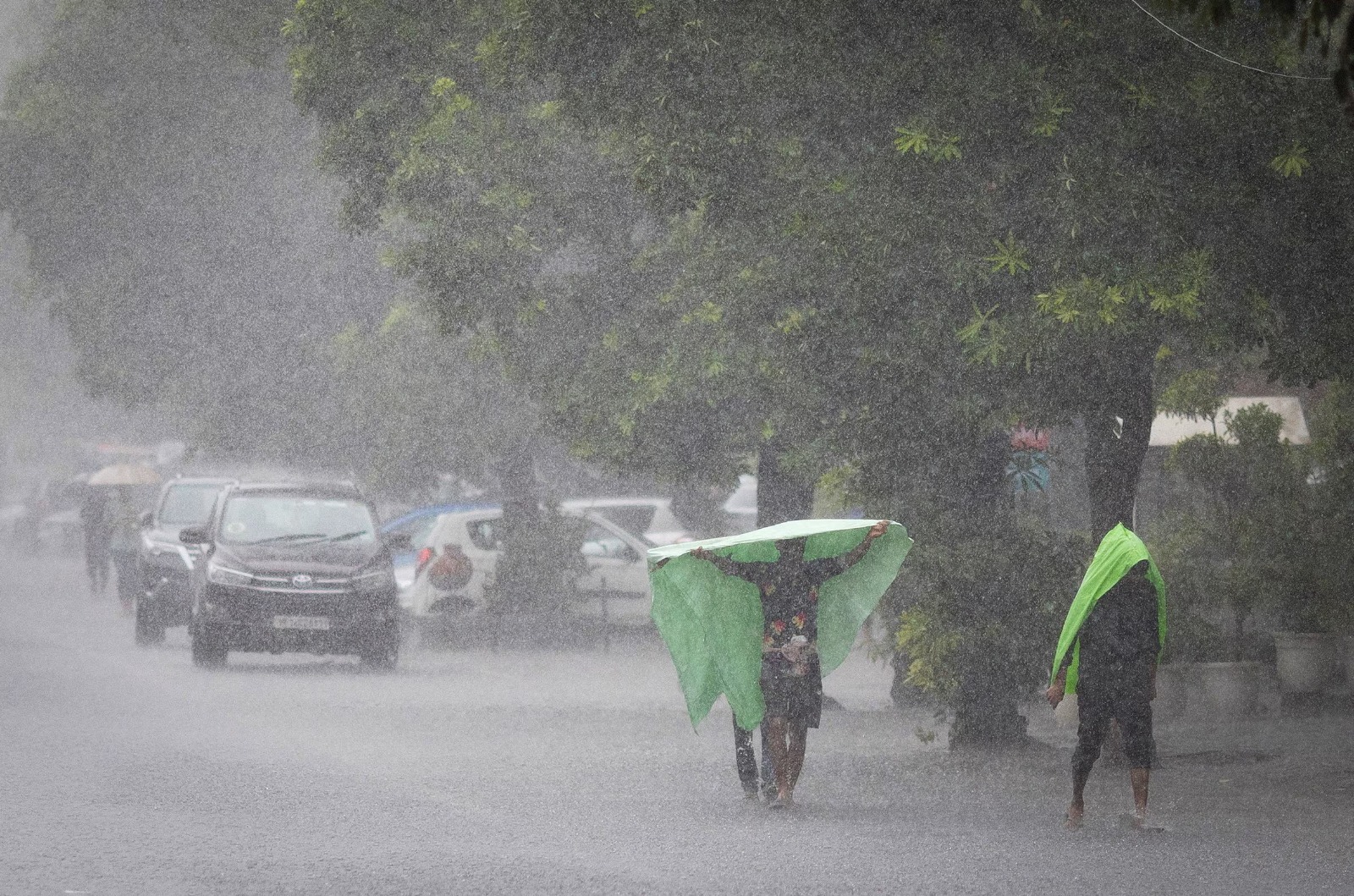 Above-average monsoon rainfall forecast for India in September with risks of flooding and crop damage