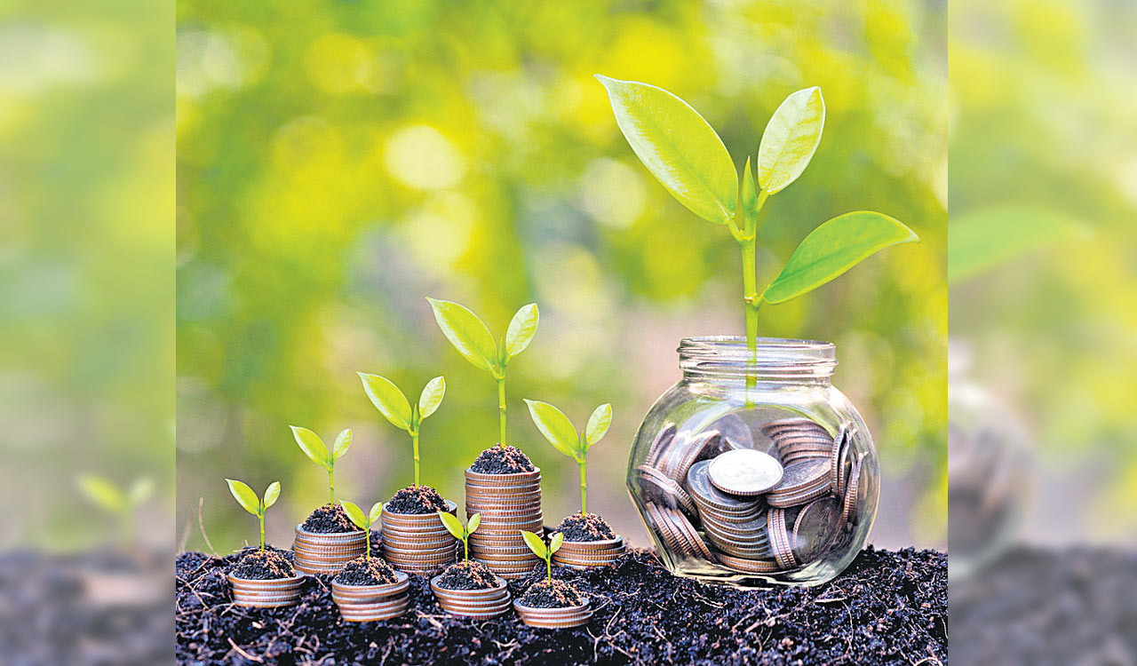 Business owner exploring green finance opportunities for eco-friendly projects with Vizzve Finance
