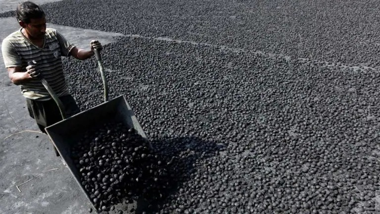 Coal India share price hits four-month high after seven-day rally with strong market momentum