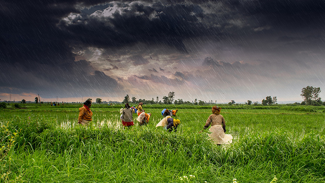 Monsoon clouds and rain over Indian agricultural fields